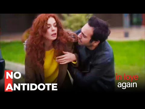 Vahit Poisons Zeynep - In Love Again