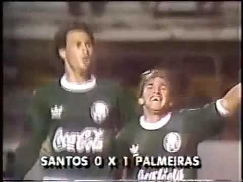 Santos 0x1 Palmeiras (04/08/1991) - Paulistão 1991