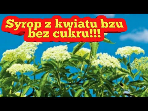 Najlepsze produkty dla potencji górę Piwo wpływa na potencję u mężczyzn
