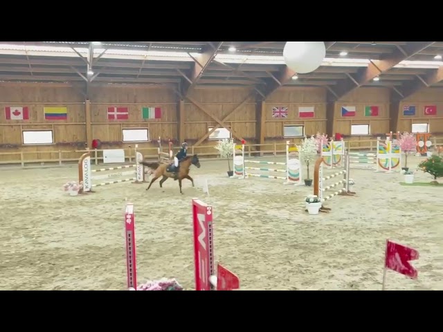 Ruin Franse rijpony PFS Te koop 2019 Vos ,  Mon Nantano de florys