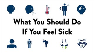What You Should Do If You feel Sick - For Students
