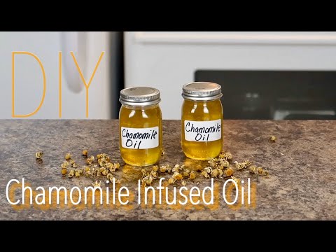 DIY Chamomile Infused Oil for Healthy Skin, Well-Being...