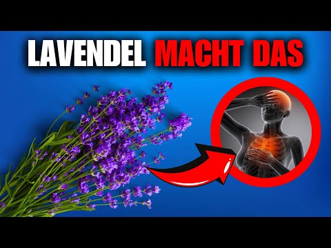 WUSSTEST DU DAS ÜBER LAVENDEL? SIE WIRKT ERSTAUNLICH AUF DEINEN KÖRPER!