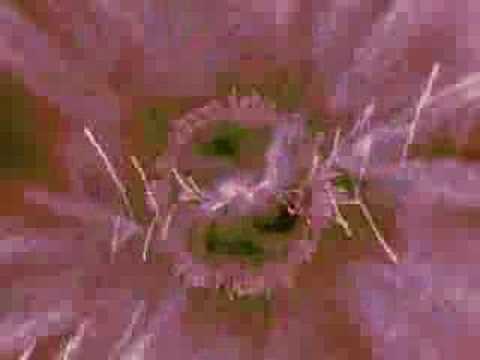 Dj AyaZ Mc HiLDa .vs Summer Remix  Fan Clup