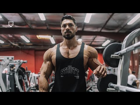 BAD WOLF 🐺 - Andrei Deiu