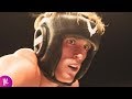 Logan Paul Knock Out Video Goes Viral | Hollywoodlife Logan Paul Knock Out Video Goes Viral | Hollywoodlife