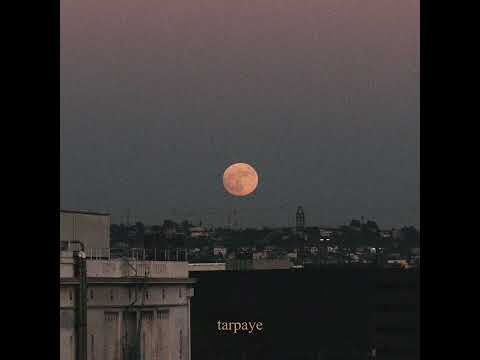 Shareh - talking to the moon | Prod by. @umairmusicxx​⁠