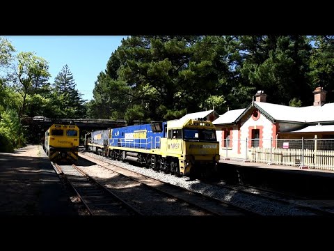 Pacific National Freight Trains a few on a few different days! All NR's but 7MP7 does pass G533!