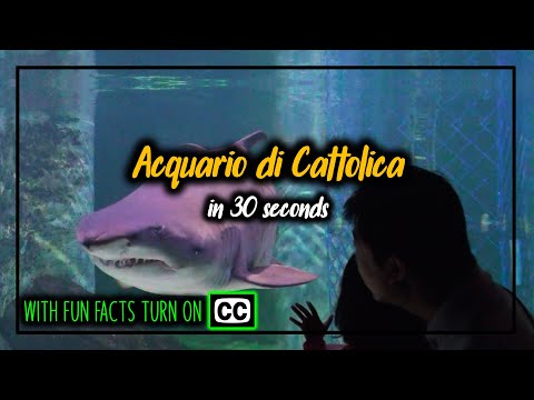 Cattolica Aquarium in 30 seconds - with fun facts! Acquario di Cattolica | Dec 2011
