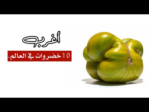 أغرب 10 خضروات في العالم , ربما لم تسمع عنها من قبل !!