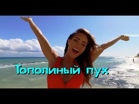 Ayur Tsyrenov ft. AnasteZia - Тополиный пух (Иванушки International cover) clip 2K19 ★VDJ Puzzle★