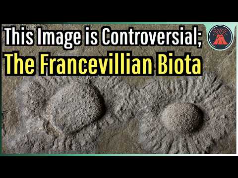 This Image is Controversial; The Francevillian Biota