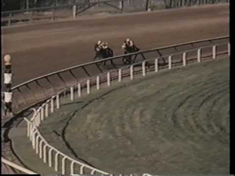 Kelso vs. Gun Bow - 1964 Woodward Stakes