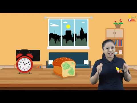 Introduction to food chemistry