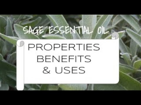 Sage Essential Oil - Benefits & Uses - YouTube
