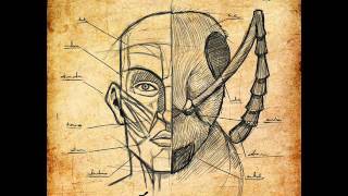 Macchina del Fango - Canzone per Rino