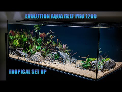 Evolution Aqua Reef Pro 1200 with sump (Tropical Set Up)
