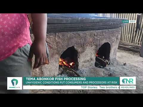 Unhygienic Fish Processing Raises Health Concerns at Tema Abonkor