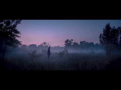 F0x3r - Love Hurt (Official Music Video)