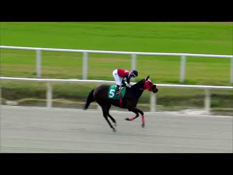 220625 c07 BIG QUEEN