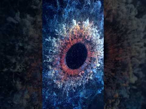 The Two-dimensional Foil in The Three-Body Problem