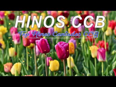 BELOS HINOS CCB 🌹 Hinário 5 🌷 Top Hinos Cantados CCB