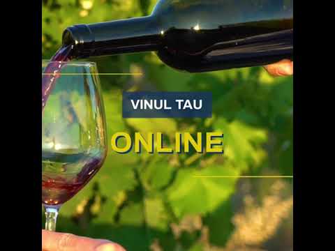 , title : 'Cum sa vinzi vin online: sfaturi despre comertul electronic cu vinuri'
