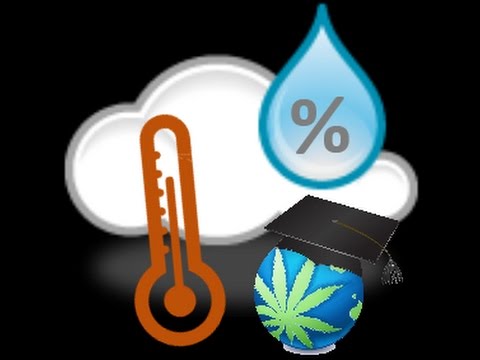 Cannabis Humidity & Air Temp Basics