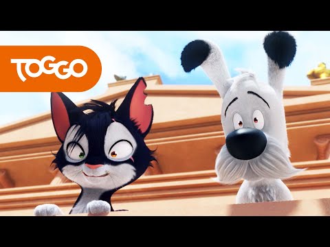 Die lustigsten Geschichten von Idefix und die Unbeugsamen | BEST OF TOGGO | Ganze Folgen