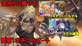 【闇マグナ】流行りに乗ってベルゼバブフルオート【ＧＢＦ】