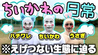 ちいかわたちの日常に密着したらとんでもない部分が垣間見えましたwww