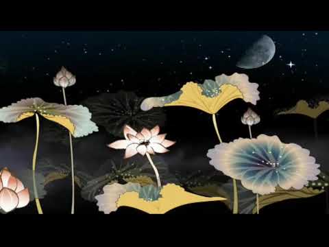 Em là trăng hay tôi là trăng Sheet - Hạnh Nguyên