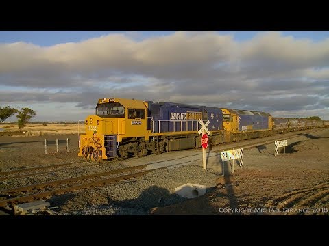 XR555 & G527 Broad Gauge Grain - PoathTV Australian Trains & Railways