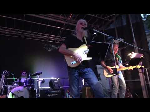 The Stingrays - With a girl like you (live)