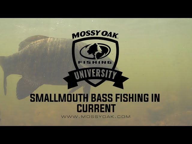 Fishing for Smallmouth Bass in Small Rivers and Streams