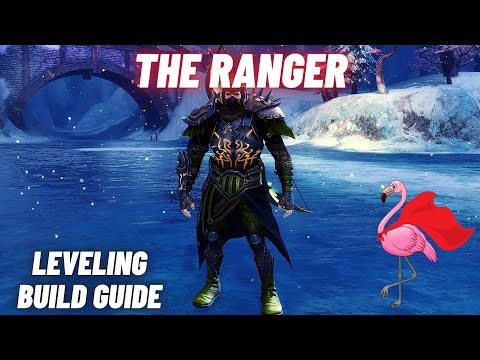 GUILD WARS 2: The Ranger - Leveling Build Guide [Weapons / Armor / Skills / Traits]