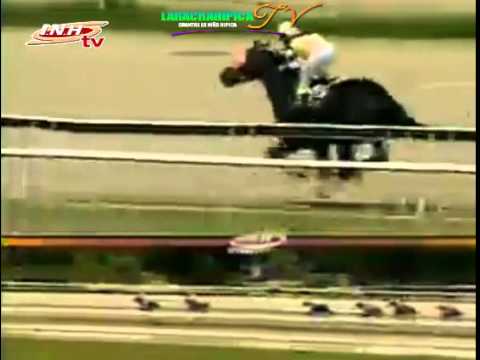 LA RINCONADA 2 CARRERA DOMINGO 16 DE NOVIEMBRE DEL 2014