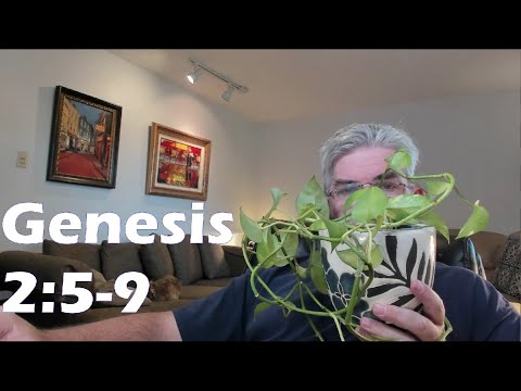 Genesis 2:5-9 - The 6th/8th Day Paradigm / Plants and People