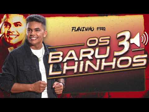 OS 3 BARULHINHOS - FLAVINHO 