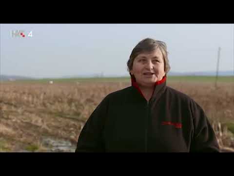 Padala su tijela   Sudar putničkih aviona iznad Jugoslavije