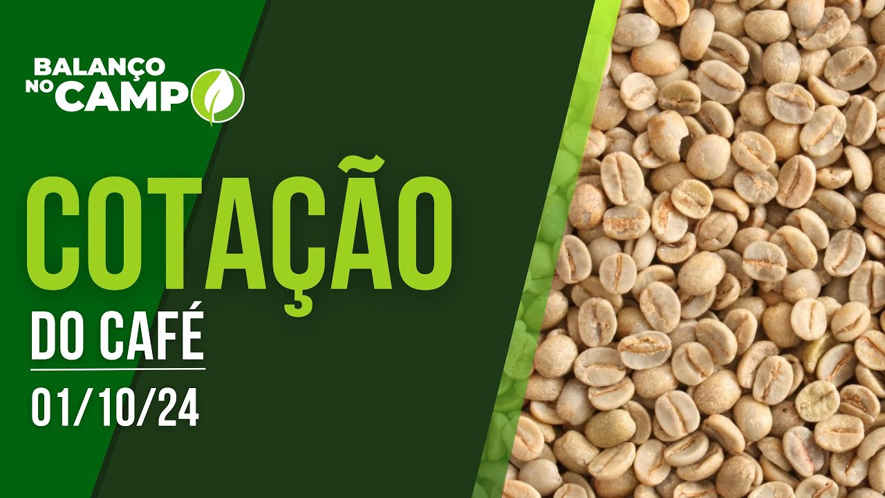 COTAÇÃO DO CAFÉ - 01/10/2024