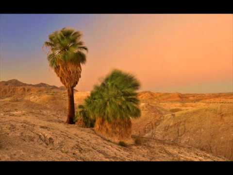 تلاوة راائعه ونديه لسورة غافر للشيخ أحمد العبيد(استمتع