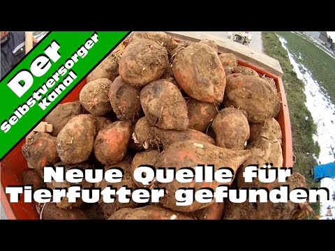 , title : 'Neue Quelle für Tierfutter gefunden'