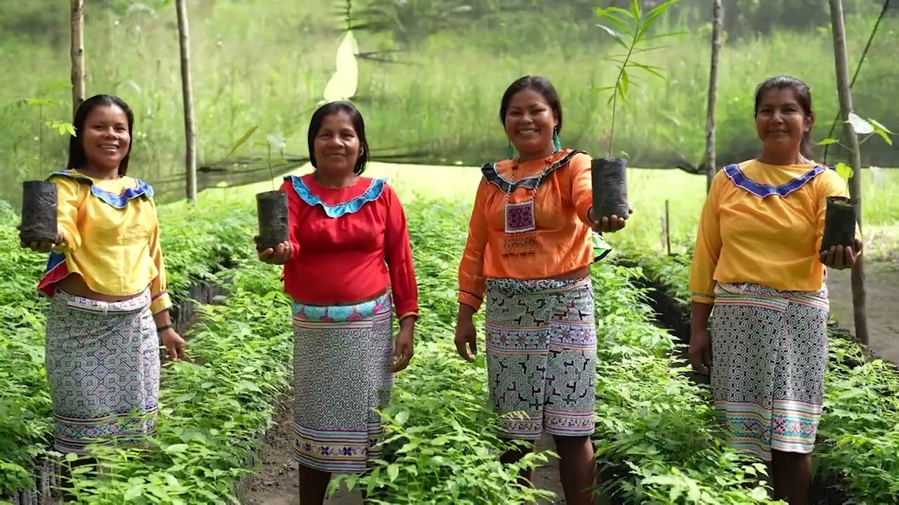 AIDER, gestión sostenible e integral de bosques y desarrollo de comunidades