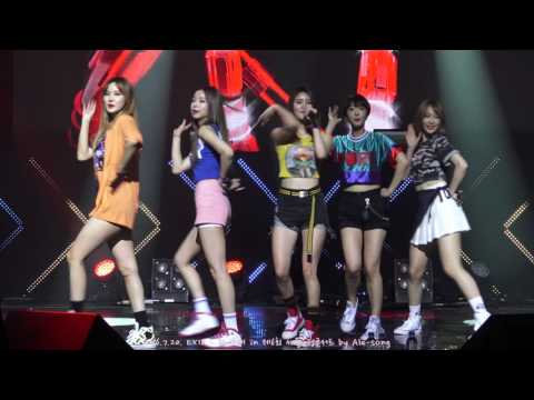 2016.7.20. EXID - 위 아래 in 제6회 세종 음정콘서트