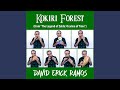 Kokiri Forest (From "The Legend of Zelda: Ocarina of Time")