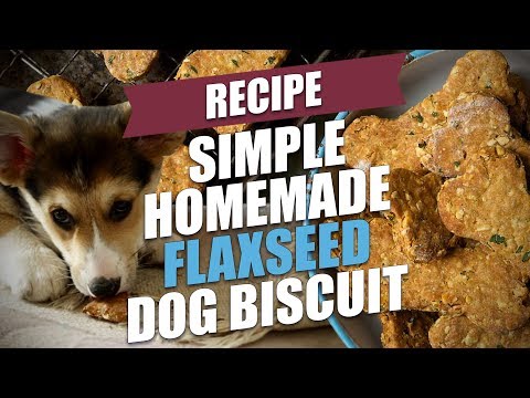download lagu mp3 mp4 Flax Meal Dog Treat Recipe, download lagu Flax Meal Dog Treat Recipe gratis, unduh video klip Flax Meal Dog Treat Recipe