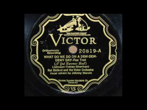 "What Do We Do On A Dew-Dew-Dewy Day"-Nat Shilkret And The Victor Orchestra