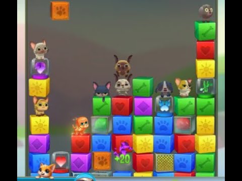 Pet Rescue Saga Level 6246 no boosters