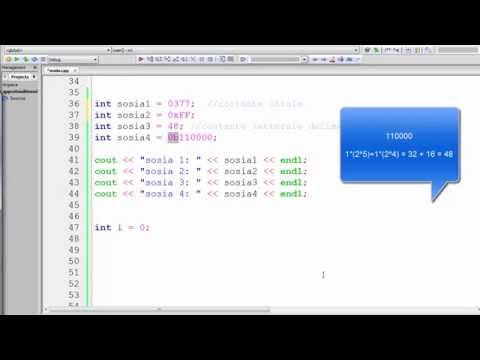 Nuovo Corso C++11 ITA 21 (APPROFONDIMENTO): costanti letterali (e numeri sosia!)